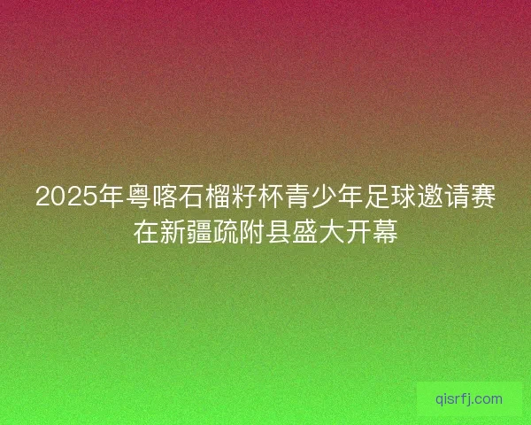 2025年粤喀石榴籽杯青少年足球邀请赛在新疆疏附县盛大开幕